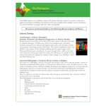 Justice for Women resource guide