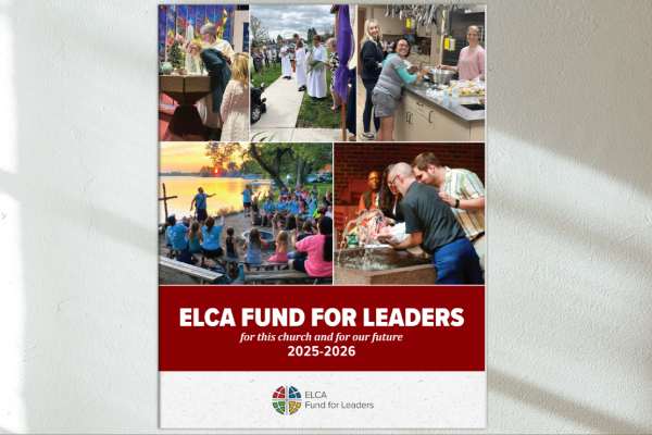 2025 FFL Annual Report Thumbnail Image