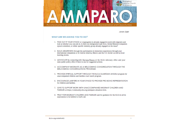 AMMPARO Action Guide