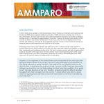 AMMPARO Executive Summary