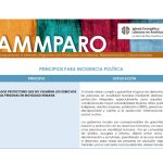 AMMPARO Principios para Incidencia Politica
