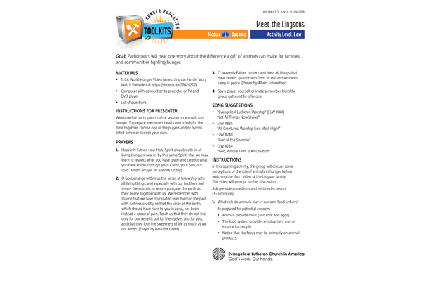 Animals and Hunger Connection