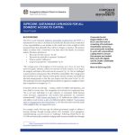 Domestic Access to Capital Issue Paper
