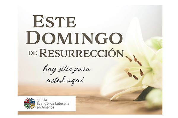 Easter Lily Postcard – Spanish