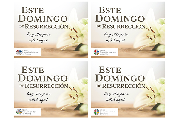 Easter Lily Postcard 4 Up – Spanish