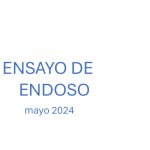 Candidatura Endorsement Essay (Spanish)