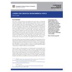 Environmental Topics Issue Paper