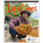 Fall Lifelines 2026 Thumbnail Image