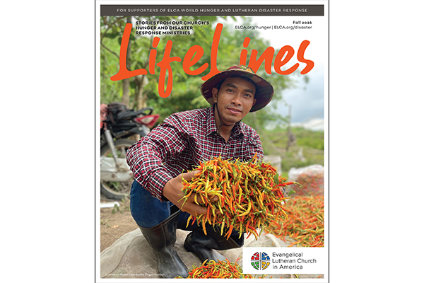 Fall Lifelines 2026 Thumbnail Image