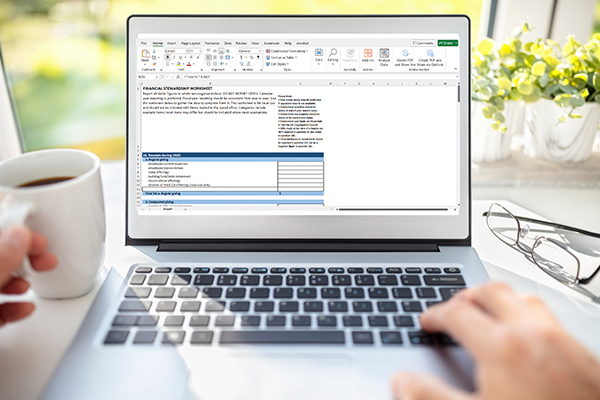 Financial Worksheet Spanish 2025