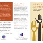 Gender Analysis Brochure