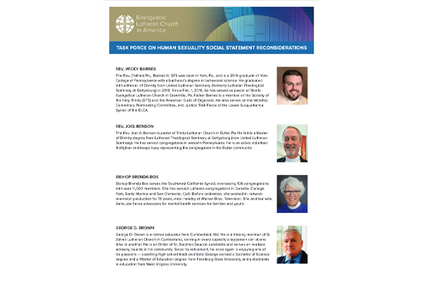 Human Sexuality Reconsiderations Task Force