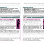 Human Trafficking Insert