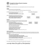 Living Our Baptism - Overview