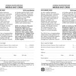 Middle East Crisis 2023