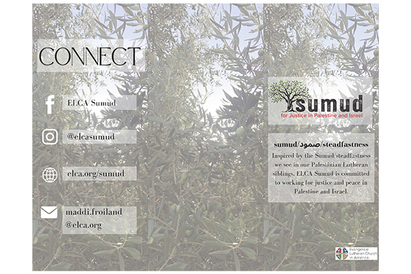Sumud Brochure for ELCJHL Visits (Trifold)