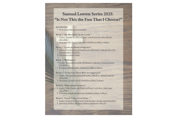 Lenten Series Guide 2025