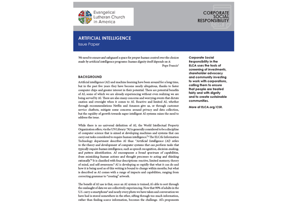 Artificial Intelligence Issue Paper