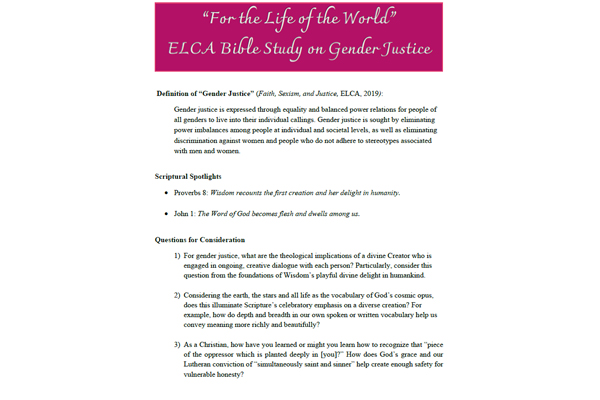 thumbnail of cover image of gender justice bible study guide handout