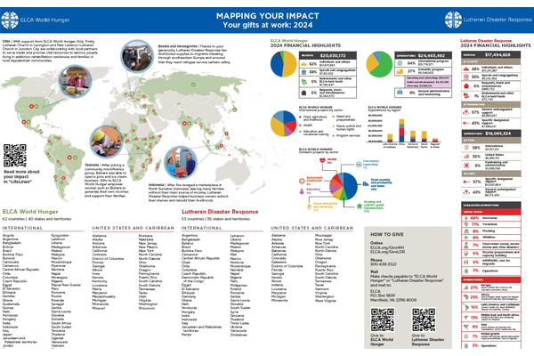 LifeLines 2025 poster