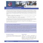 Thinking About WEAPONS OF MASS DESTRUCTION